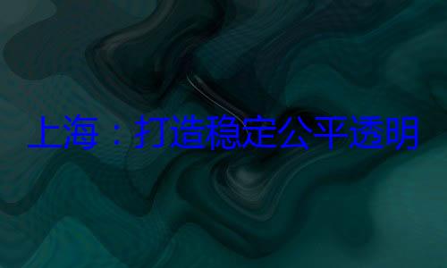 明的营商环境稳定公平透上海打造